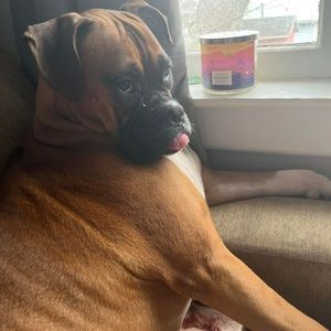 Meet your Posher, Beverly